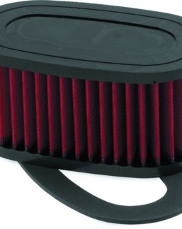 Honda VT750C/CD Shadow ACE/DLX Air Filter