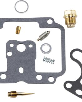 Carburetor Repair Kit