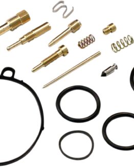 Carburetor Repair Kit