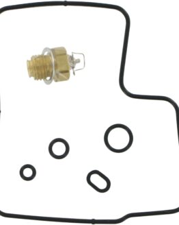 Carburetor Repair Kit