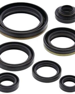 Vertex Oil Seal Kit Fits 1996-2002 Suzuki RM250