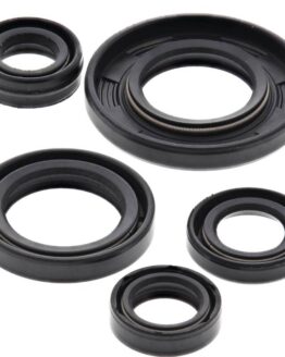 Vertex Engine Oil Seal Kit 822240