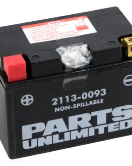 AGM Maintenance Free Battery 230CCA 12V 11.2Ah Factory Activated