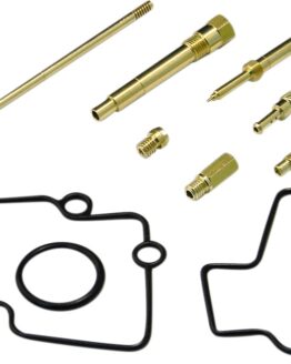 Carburetor Repair Kit