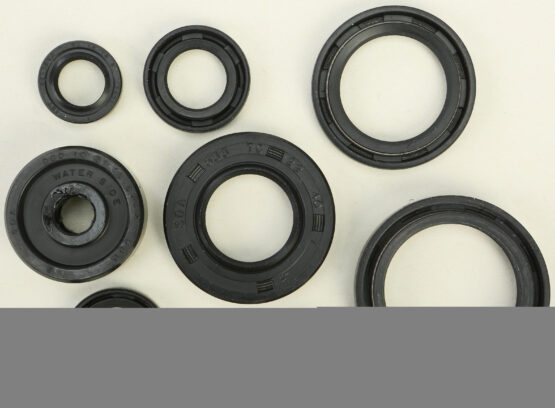 Oil Seal Kit