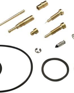 Carburetor Repair Kit