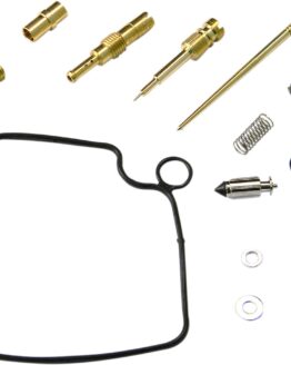 Carburetor Repair Kit