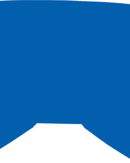 Replacement Blue/Smoke Lens w/ Posts For Youth Zone/Focus Goggle