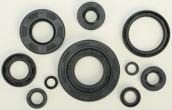 Oil Seal Kit