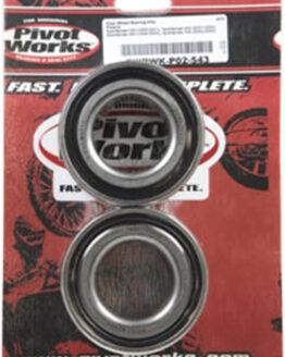 Rear Wheel Bearing Kit