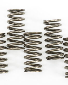 CSK Series Clutch Springs