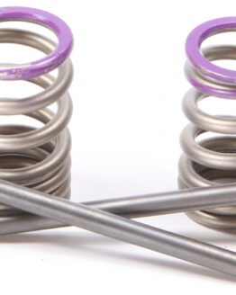 Steel Intake Valve/Spring Kit