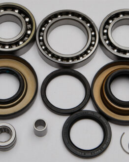 Rear Differential Bearing & Seal Kit