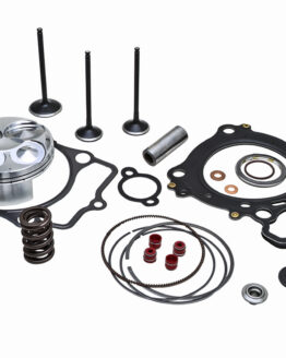 Top End Service Kit SS Valve Conversion W/Springs