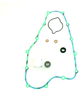 Water Pump Repair Kit