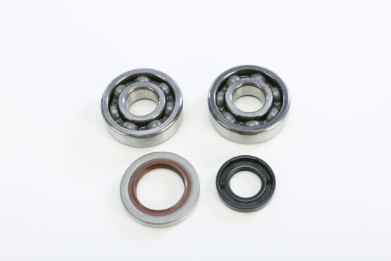 Crankshaft Bearing & Seal Kit