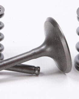 Steel Intake Valve/Spring Kit