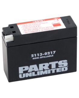Factory Activated AGM Sealed Battery