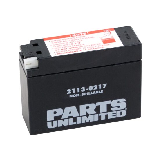 Factory Activated AGM Sealed Battery