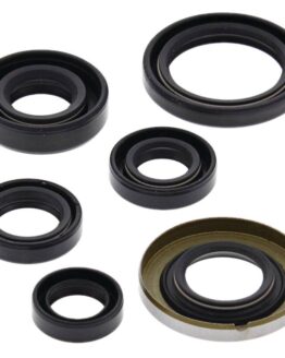 Vertex Oil Seal Kit Fits 2005-2008 Honda TRX400EX