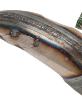 Factory Fatty Pipe Exhaust Expansion Chamber