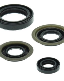 Vertex Engine Oil Seal Kit 822273