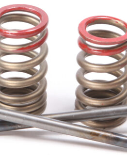 Steel Exhaust Valve/Spring Kit