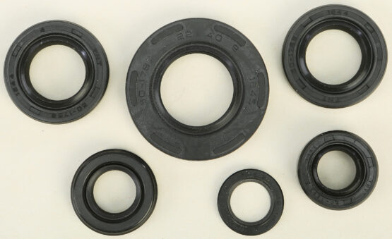 Oil Seal Kit