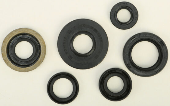 Oil Seal Kit