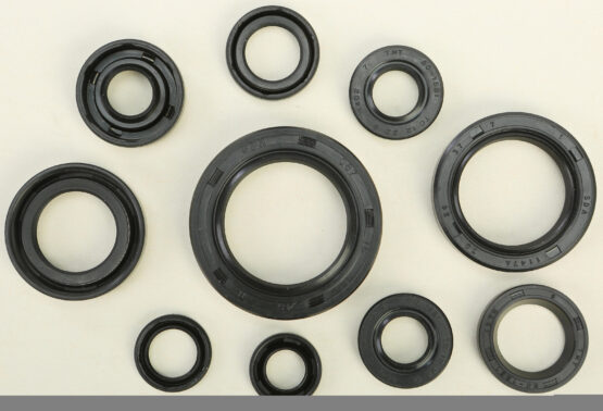 Oil Seal Kit