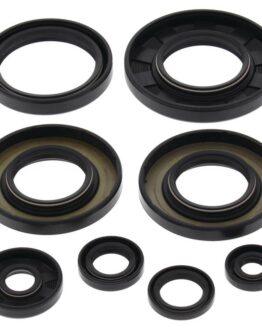 Vertex Engine Oil Seal Kit 822349