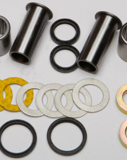Swing Arm Bearing Kit