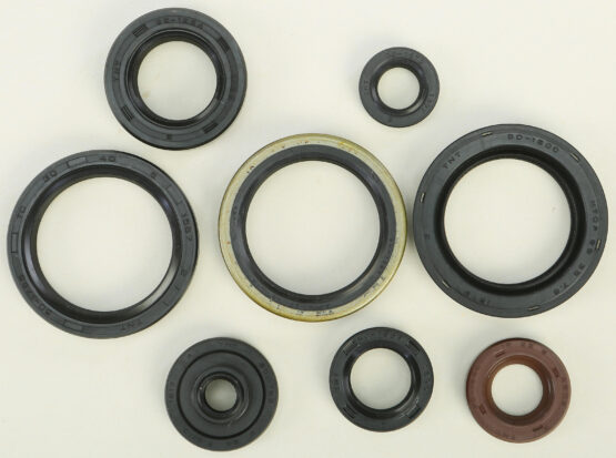 Oil Seal Kit