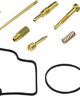 Carburetor Repair Kit
