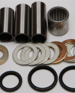 Swing Arm Bearing Kit