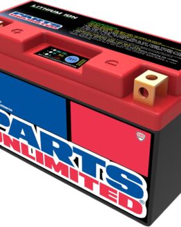 LiFePO4 Lithium-Ion Battery