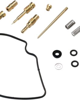 Carburetor Repair Kit