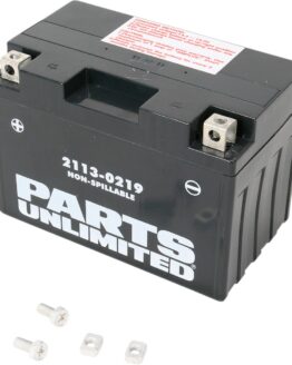 Factory Activated Maintenance Free Sealed Battery