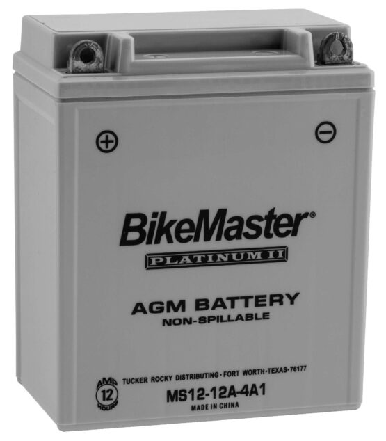 AGM Platinum II Battery