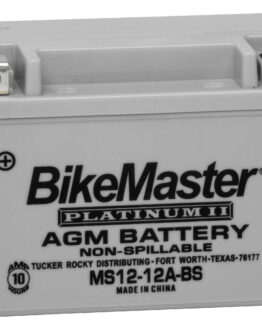 AGM Platinum II Glass Mat Battery