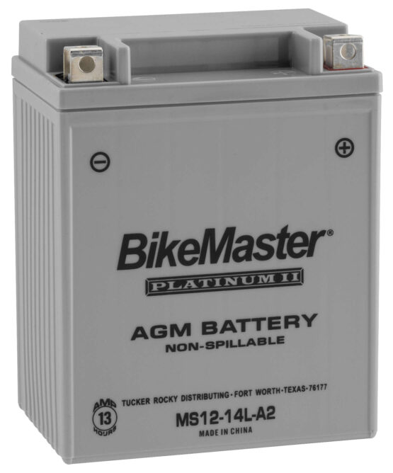 AGM Platinum II Battery - Image 2