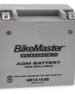 AGM Platinum II Battery
