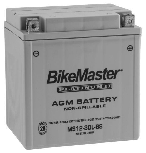 AGM Platinum II Battery