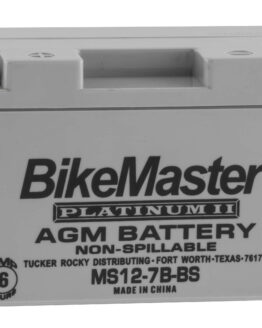 AGM Platinum II Battery