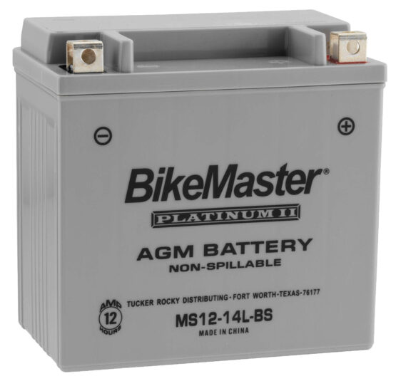 AGM Platinum II Battery