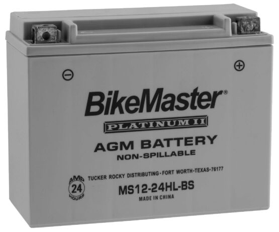 AGM Platinum II Battery