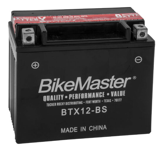 Maintenance Free Battery