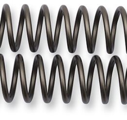 Fork Springs 0.46KG