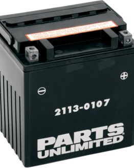 AGM Maintenance Free Battery 385CCA 12V 30Ah