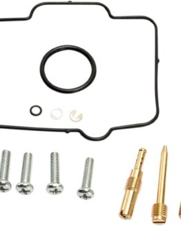 Carburetor Repair Kit